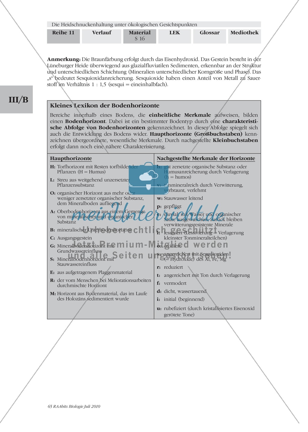 Das Ökosystem Heide und die Rolle der Heidschnucken bei der Beweidung Preview 9