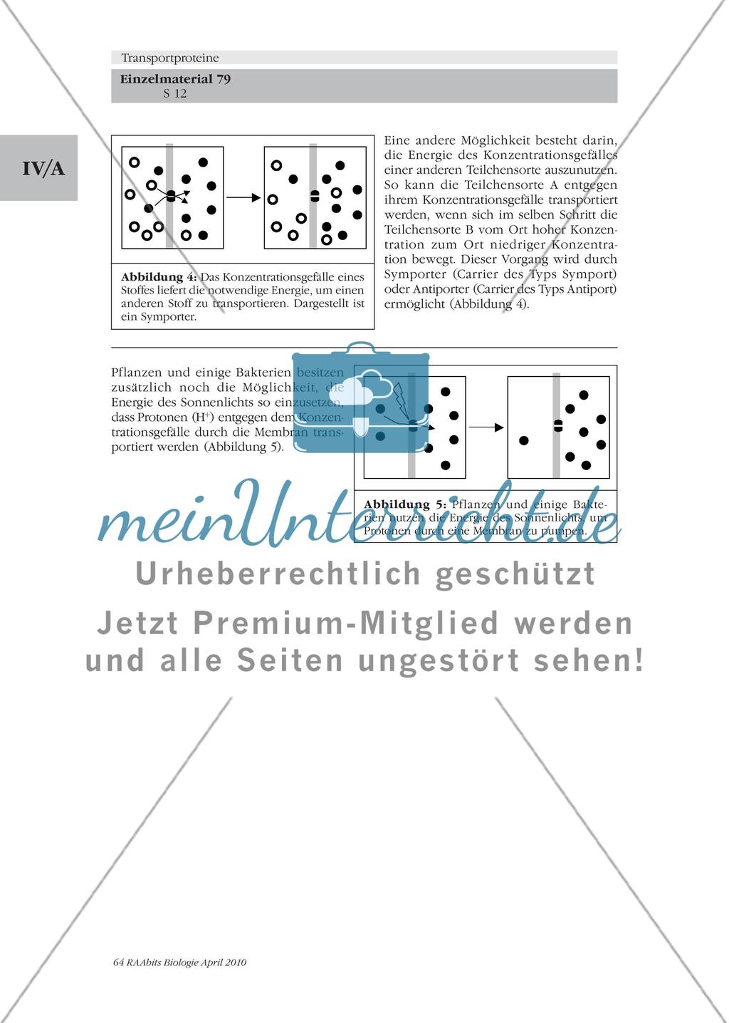 Beispiele von Transportproteinen / Energetik der Transportproteine Preview 3