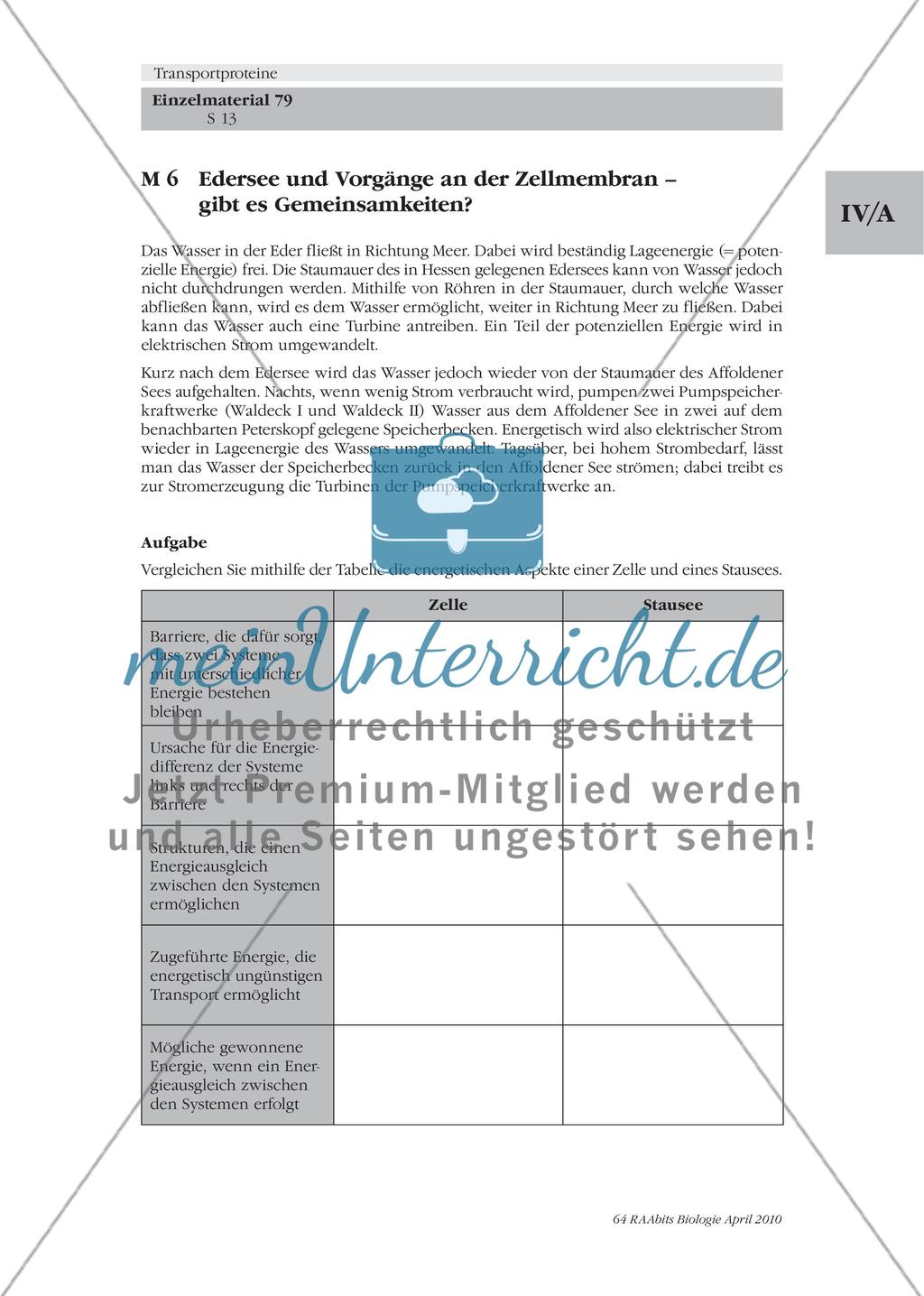 Beispiele von Transportproteinen / Energetik der Transportproteine Preview 4