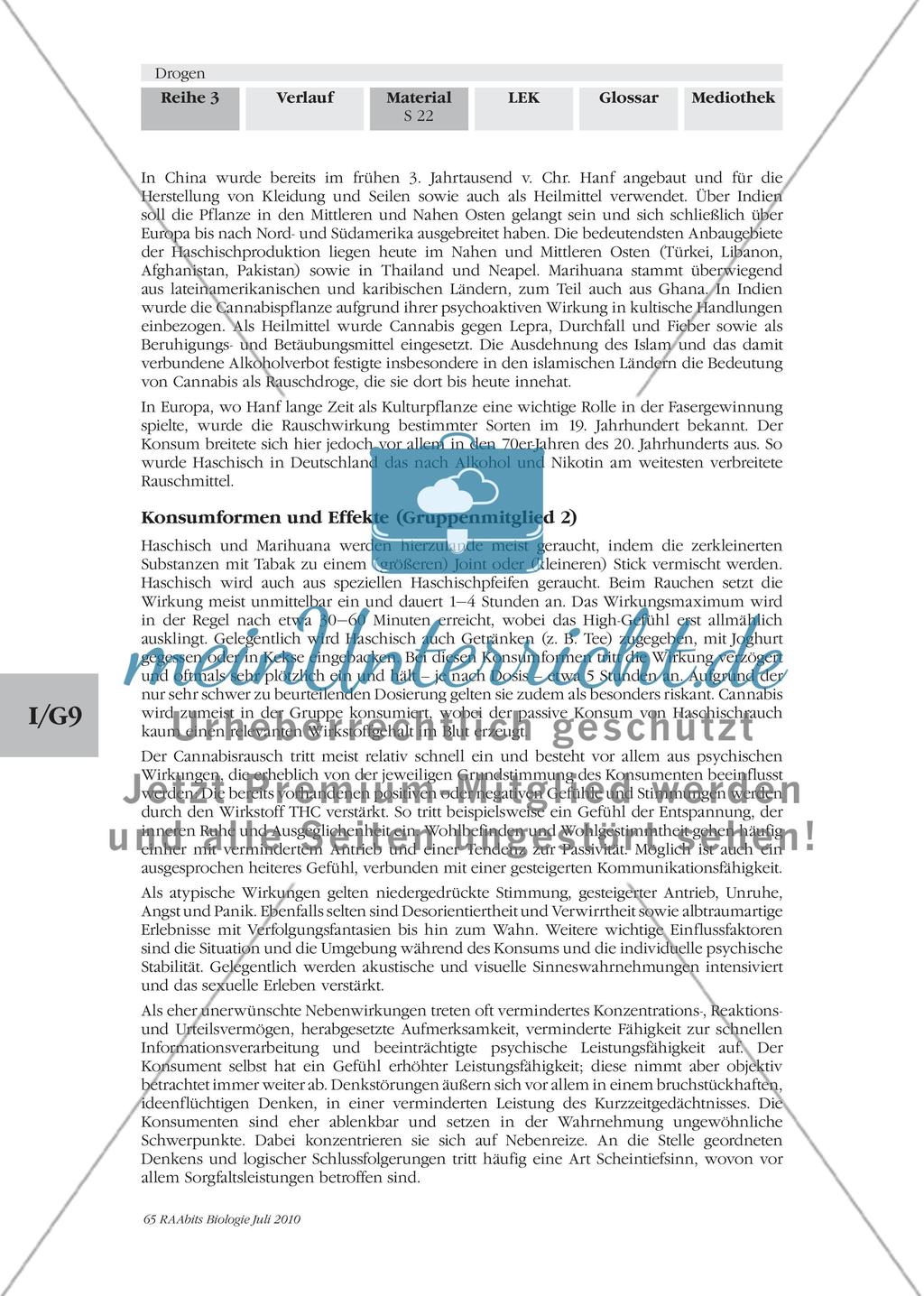 Die Sucht und ihre Stoffe Preview 12