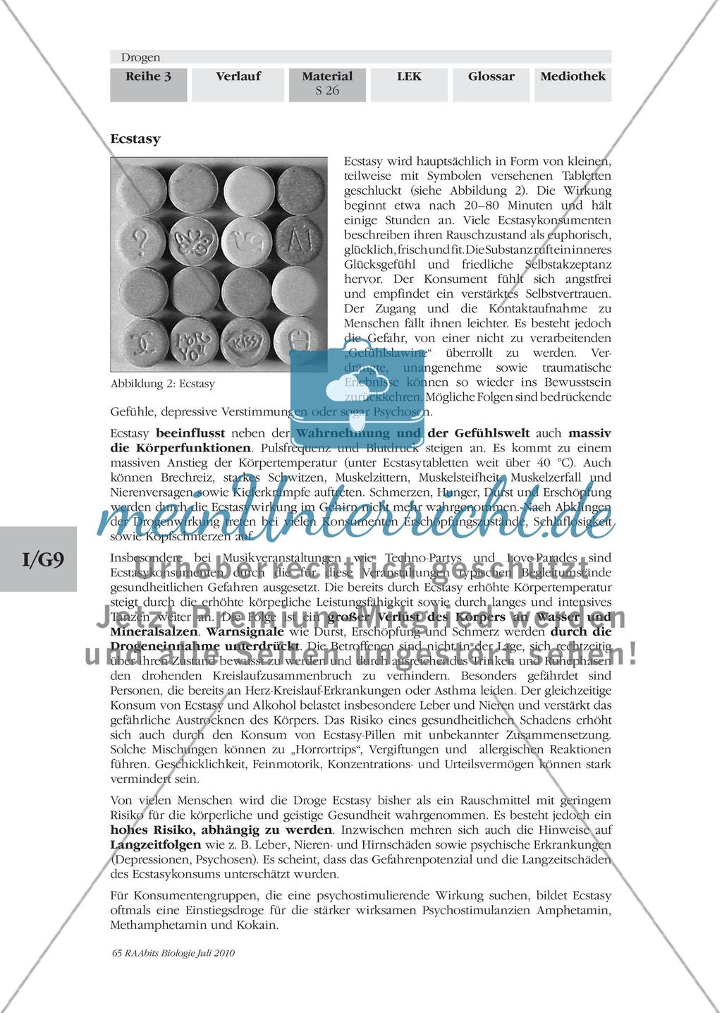 Die Sucht und ihre Stoffe Preview 16