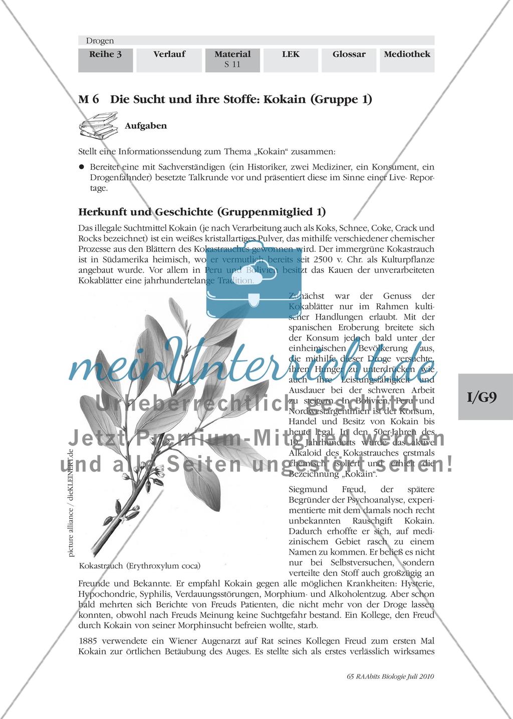 Die Sucht und ihre Stoffe Preview 1
