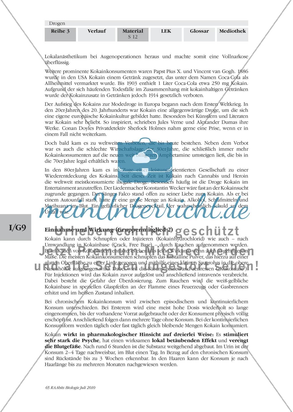 Die Sucht und ihre Stoffe Preview 2
