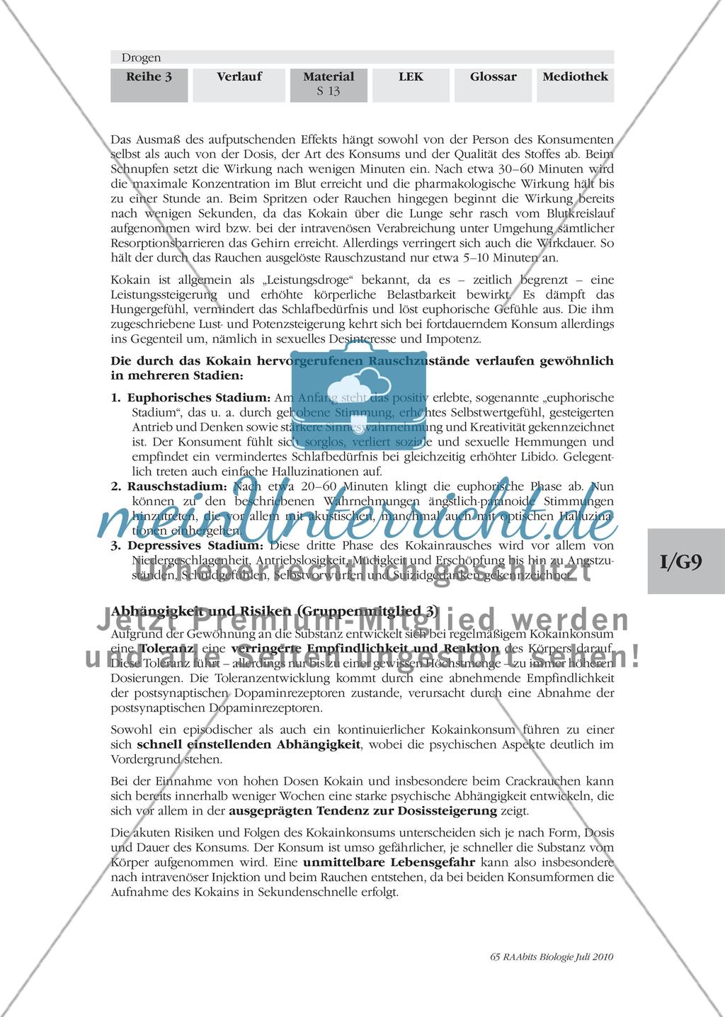 Die Sucht und ihre Stoffe Preview 3