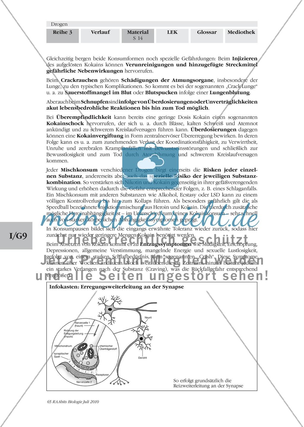 Die Sucht und ihre Stoffe Preview 4