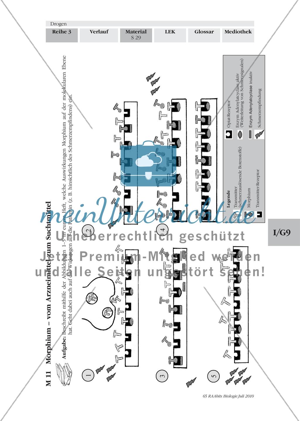 Morphium – vom Arzneimittel zum Suchtmittel Preview 2