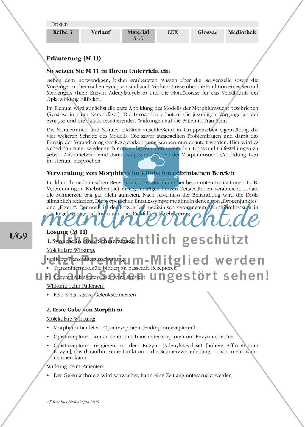 Morphium – vom Arzneimittel zum Suchtmittel Preview 3