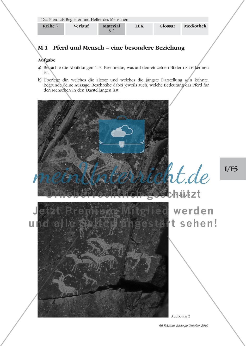 Vom Wildpferd zum Nutztier Preview 1