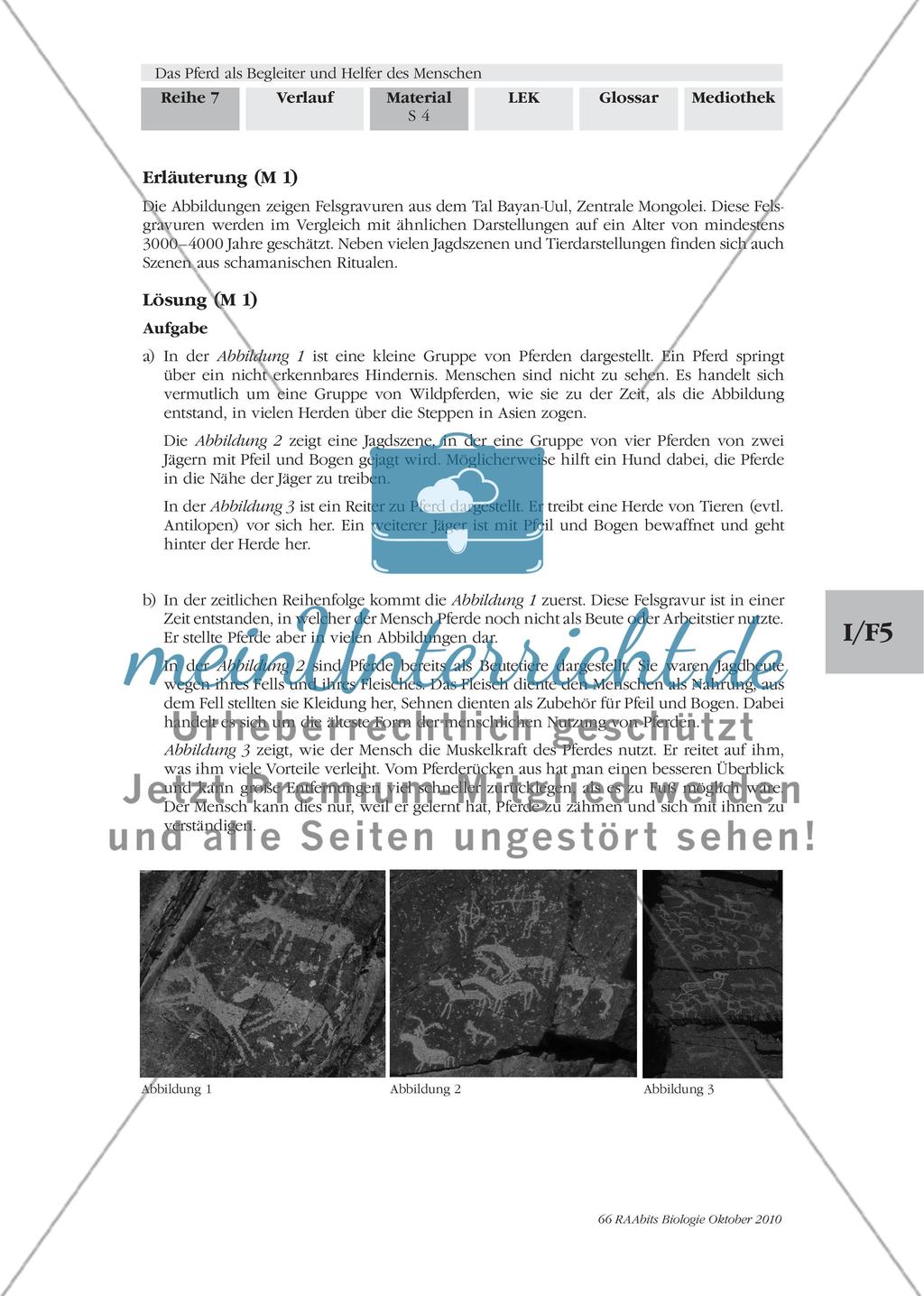 Vom Wildpferd zum Nutztier Preview 3