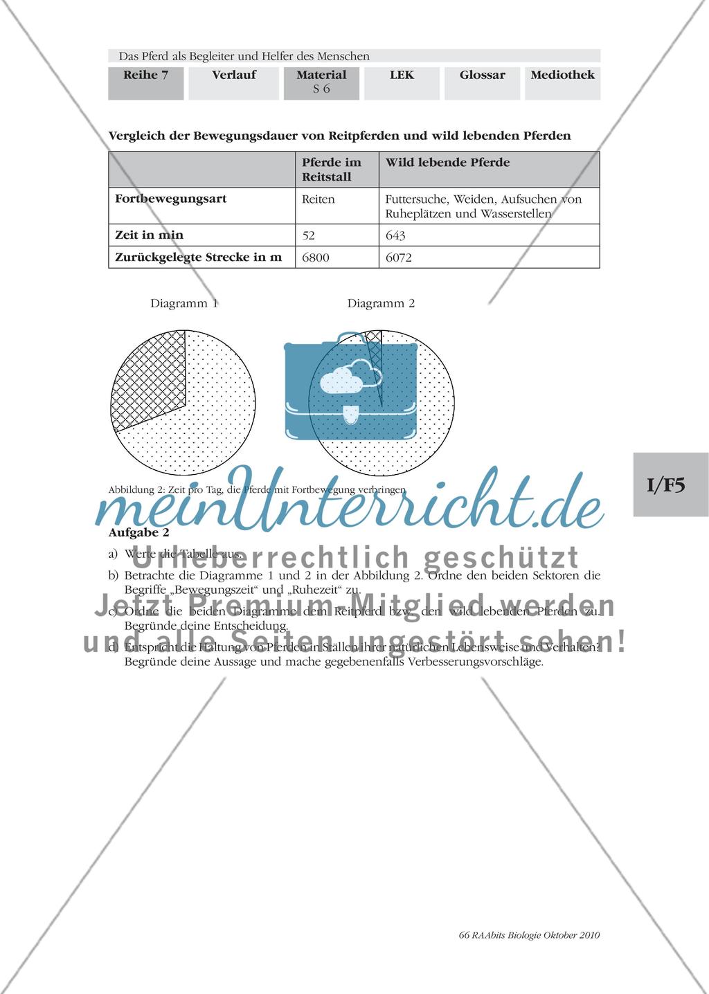 Vom Wildpferd zum Nutztier Preview 5