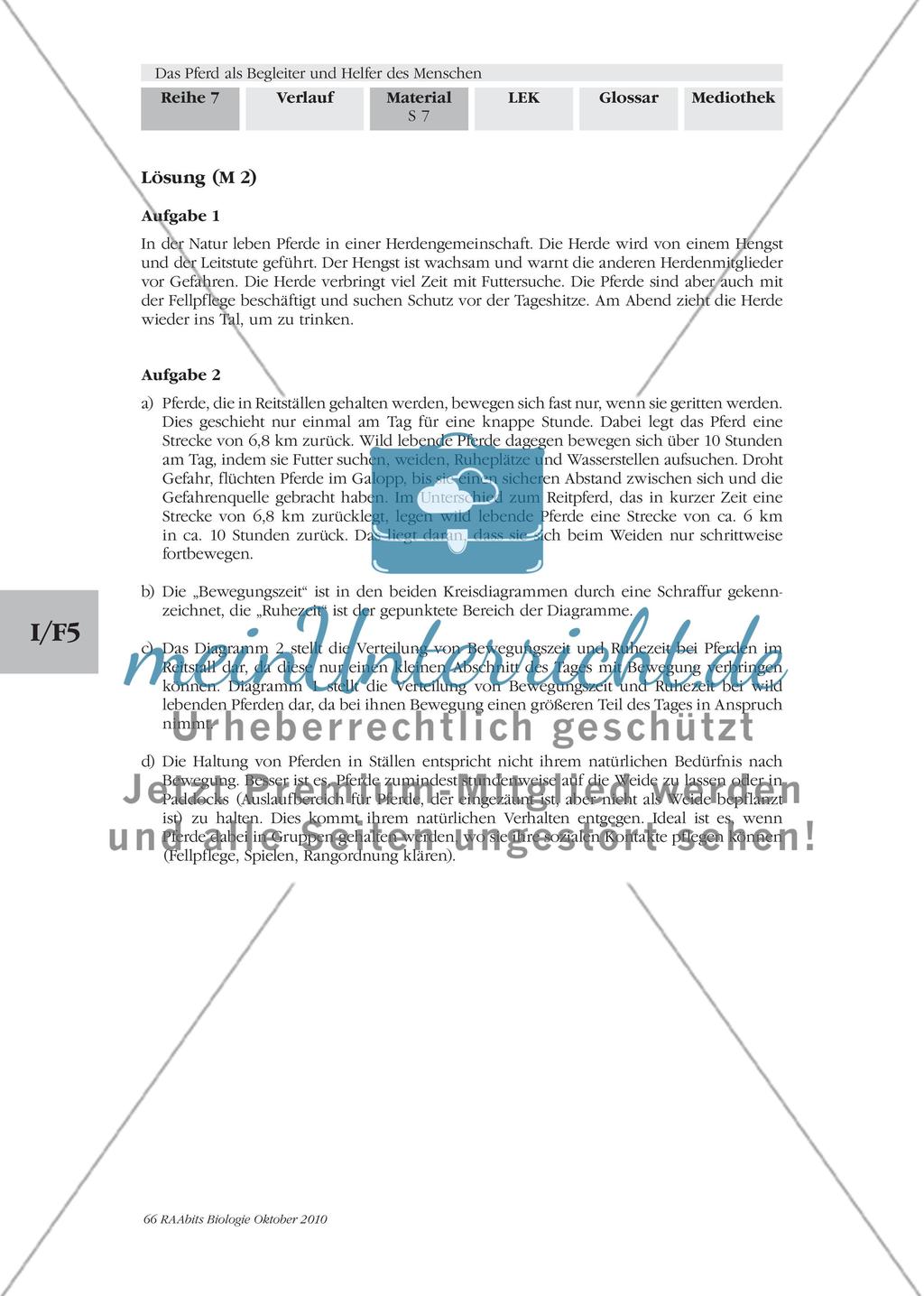 Vom Wildpferd zum Nutztier Preview 6