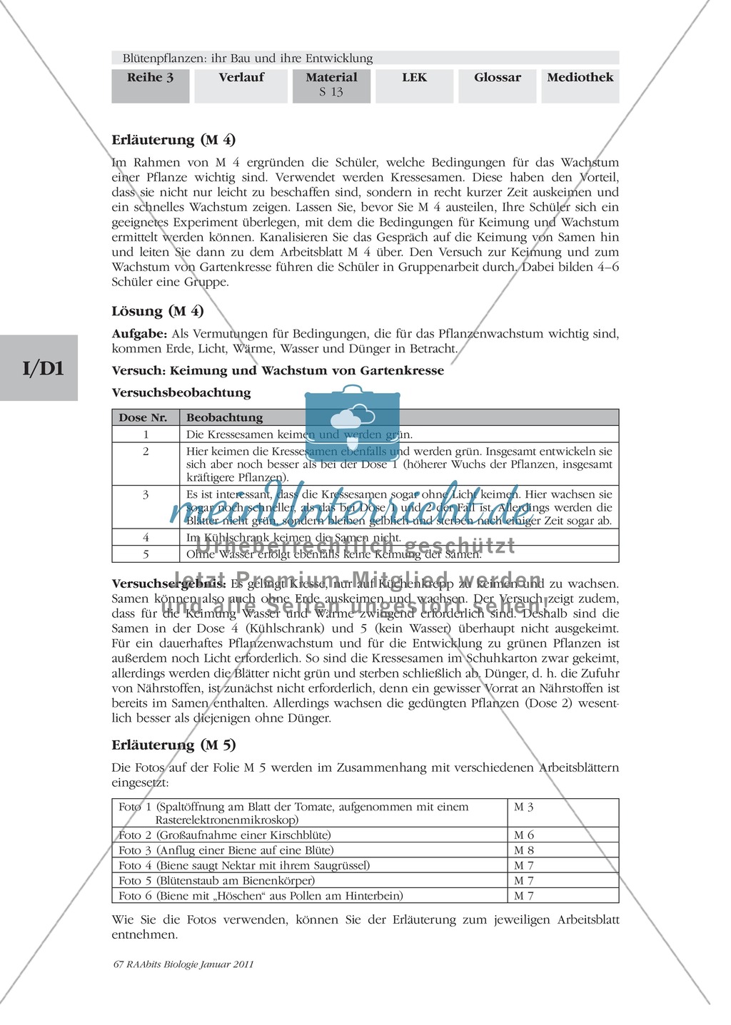 Befruchtung von Blütenpflanzen: Text, Zeichnen, Beschriften Preview 1