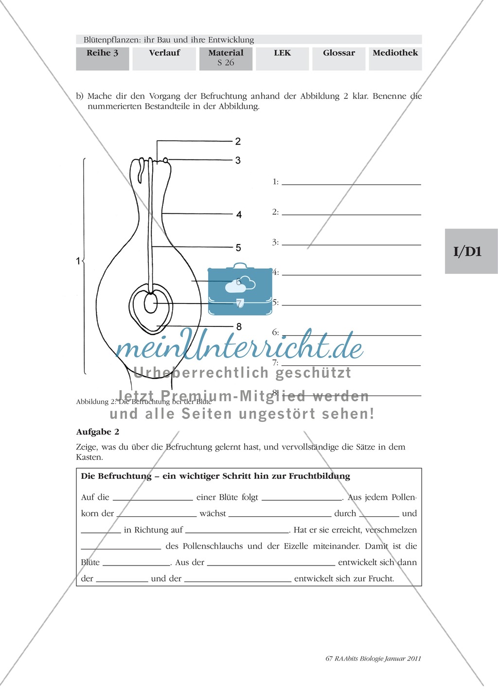 Befruchtung von Blütenpflanzen: Text, Zeichnen, Beschriften Preview 5