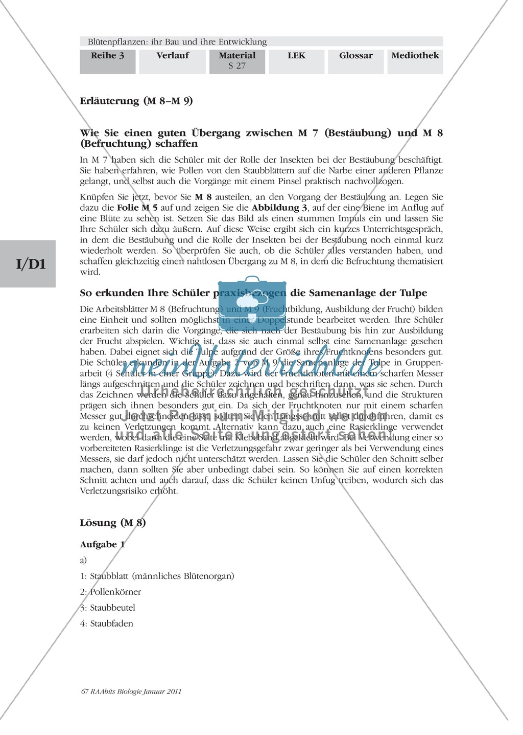 Befruchtung von Blütenpflanzen: Text, Zeichnen, Beschriften Preview 6
