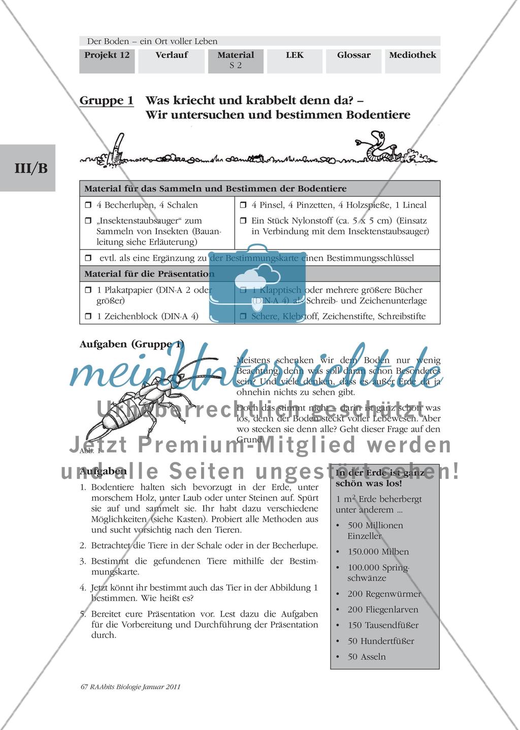 Was kriecht und krabbelt denn da? Wir untersuchen und bestimmen Bodentiere Preview 1