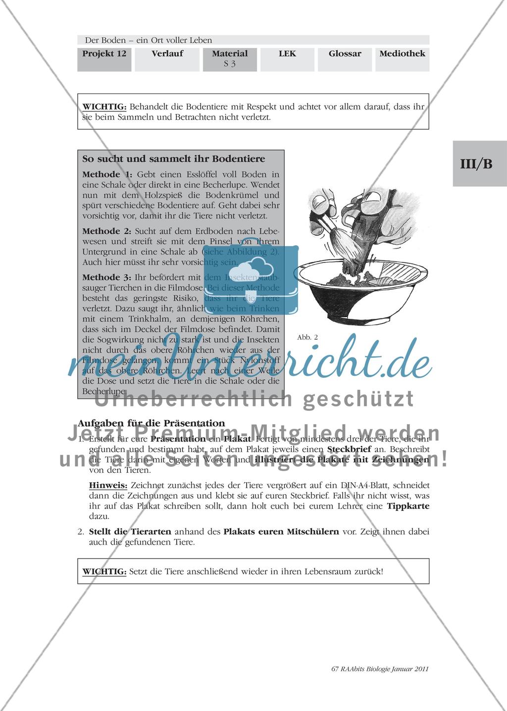 Was kriecht und krabbelt denn da? Wir untersuchen und bestimmen Bodentiere Preview 2