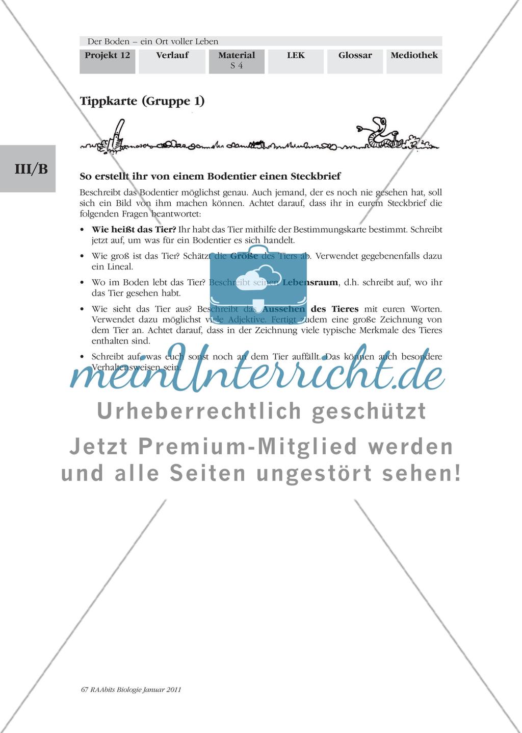 Was kriecht und krabbelt denn da? Wir untersuchen und bestimmen Bodentiere Preview 3