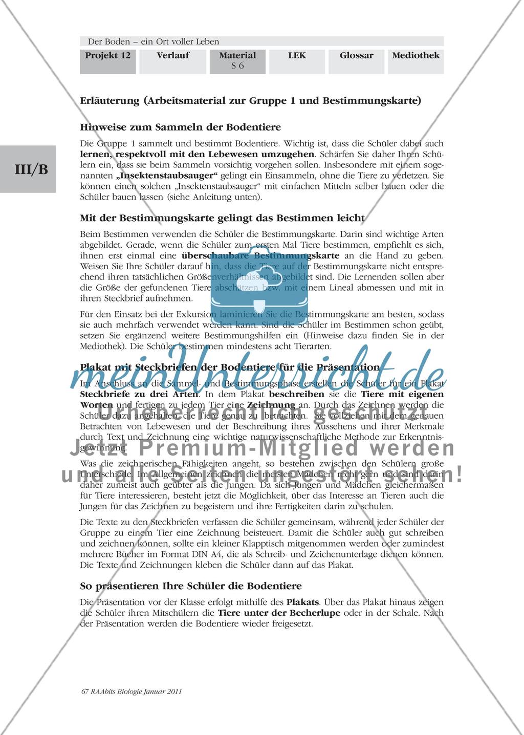 Was kriecht und krabbelt denn da? Wir untersuchen und bestimmen Bodentiere Preview 5