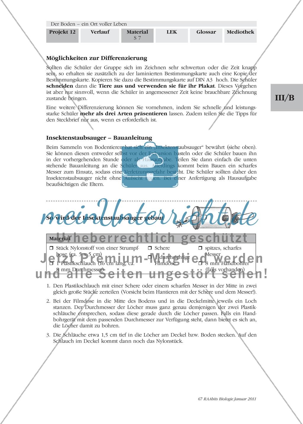 Was kriecht und krabbelt denn da? Wir untersuchen und bestimmen Bodentiere Preview 6