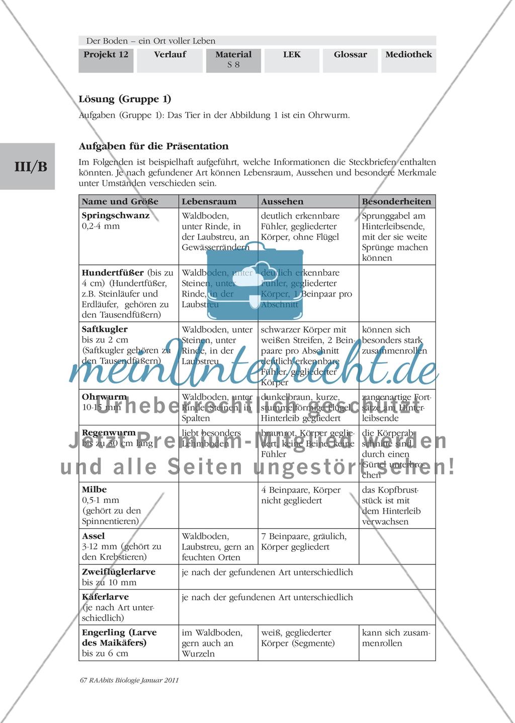 Was kriecht und krabbelt denn da? Wir untersuchen und bestimmen Bodentiere Preview 7