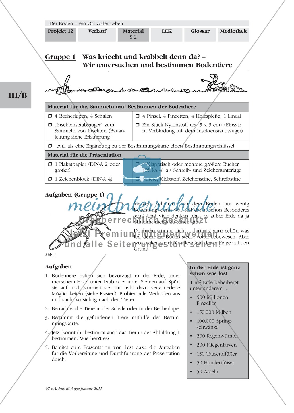 Bodentiere: Untersuchung und Bestimmung, Steckbrief, Exkursion, Präsentation Preview 1