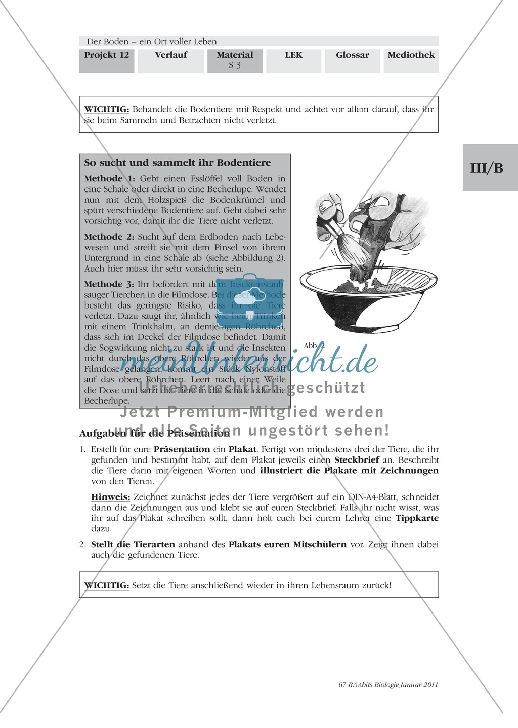 Bodentiere: Untersuchung und Bestimmung, Steckbrief, Exkursion, Präsentation Preview 2