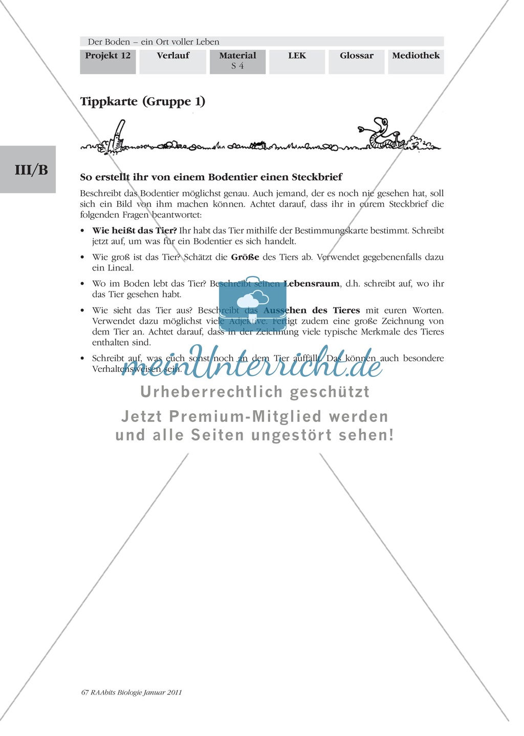 Bodentiere: Untersuchung und Bestimmung, Steckbrief, Exkursion, Präsentation Preview 3