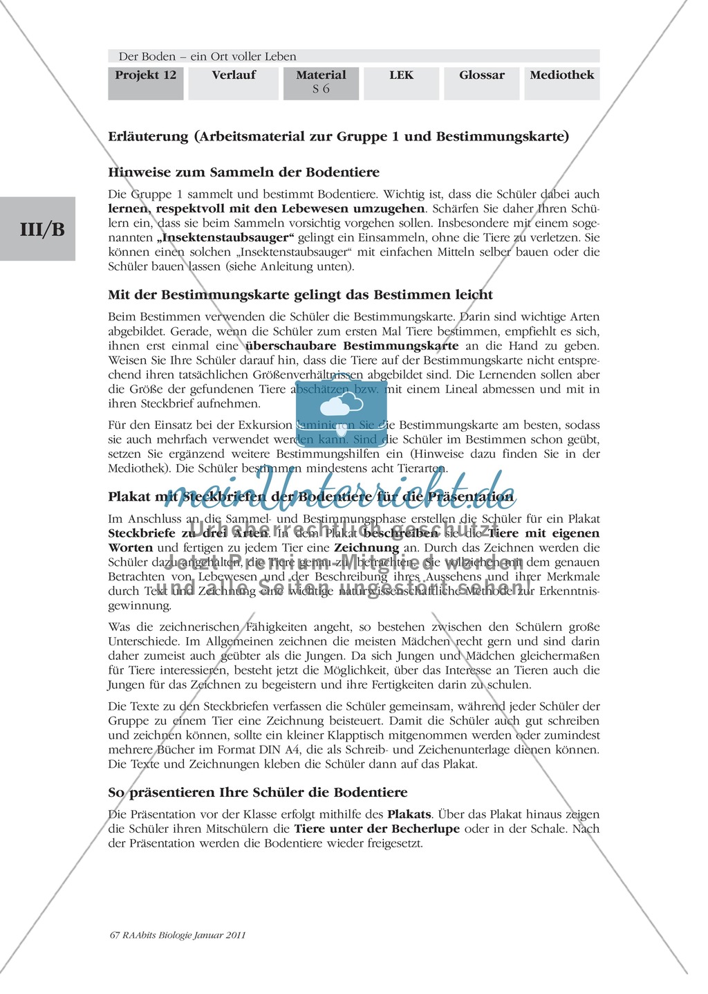 Bodentiere: Untersuchung und Bestimmung, Steckbrief, Exkursion, Präsentation Preview 5