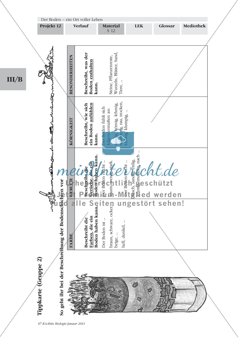 Bodenprofil: Beschaffenheit des Bodens, Bodenschichten, Exkursion, Präsentation Preview 4