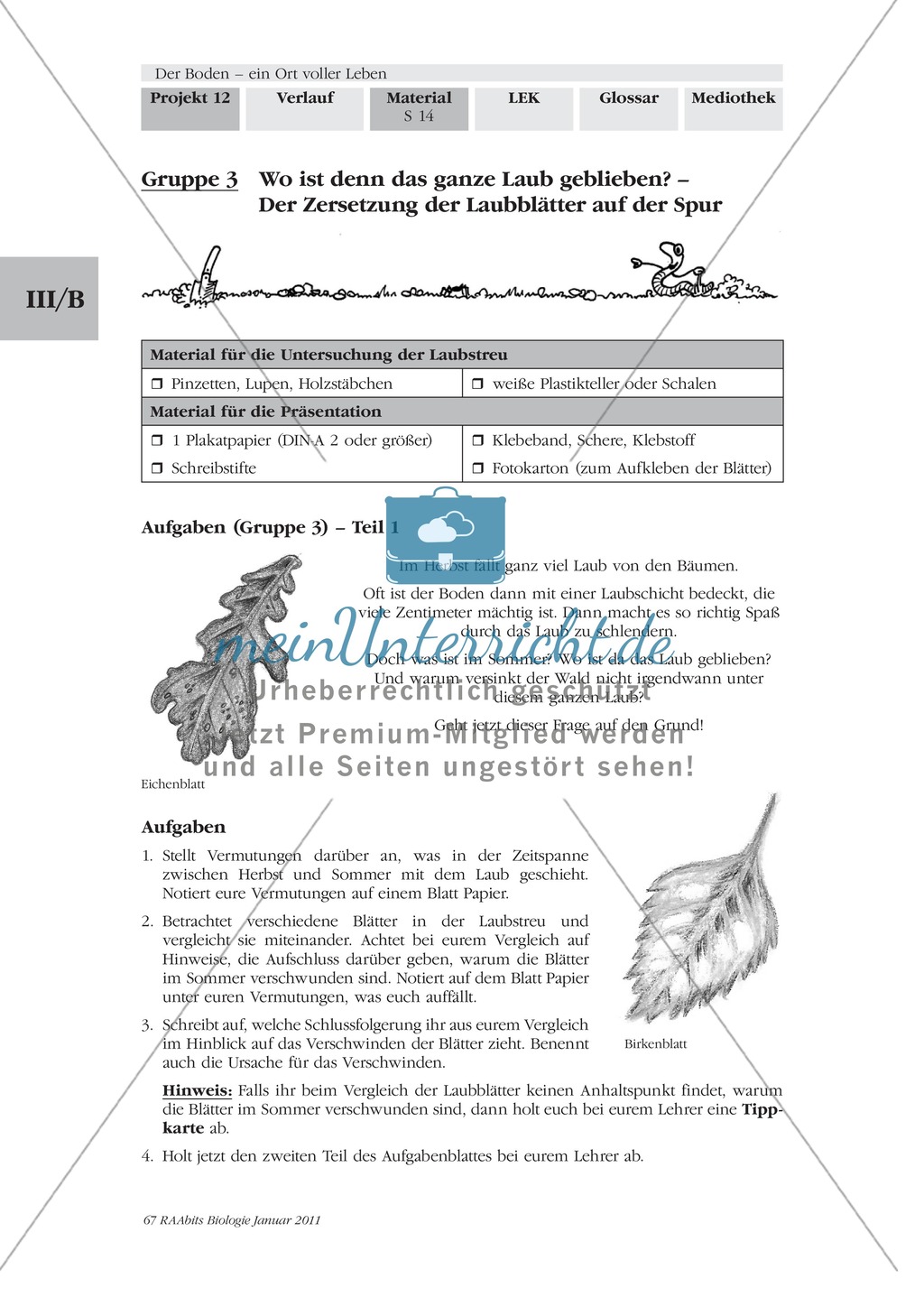 Zersetzung von Laubblättern: Zersetzungsstadien, Exkursion, Präsentation Preview 1