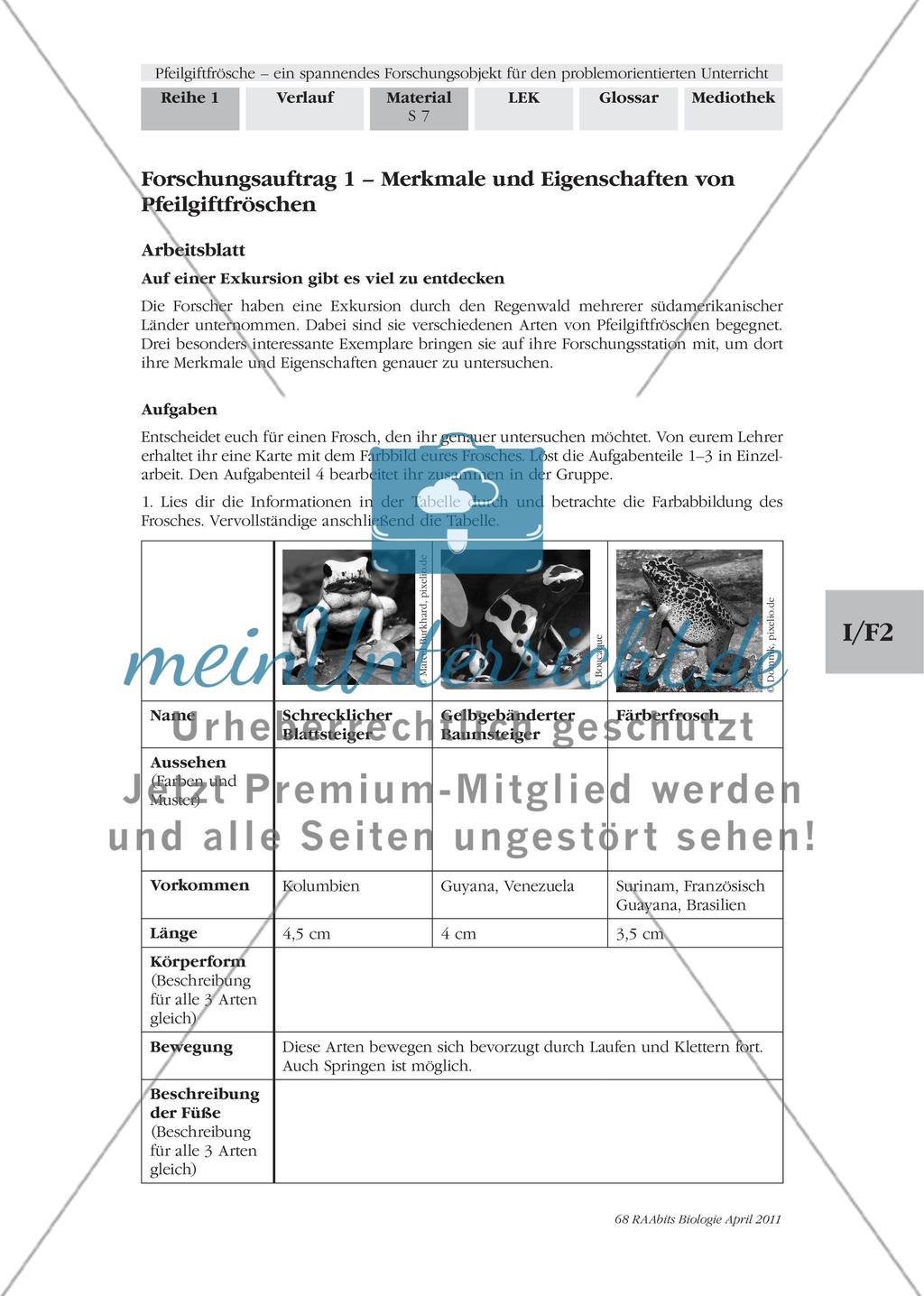 Forschungsauftrag 1 – Merkmale und Eigenschaften von Pfeilgiftfröschen Preview 1