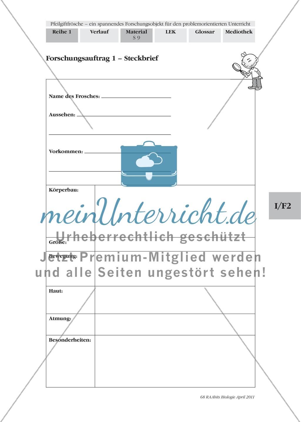 Forschungsauftrag 1 – Merkmale und Eigenschaften von Pfeilgiftfröschen Preview 3
