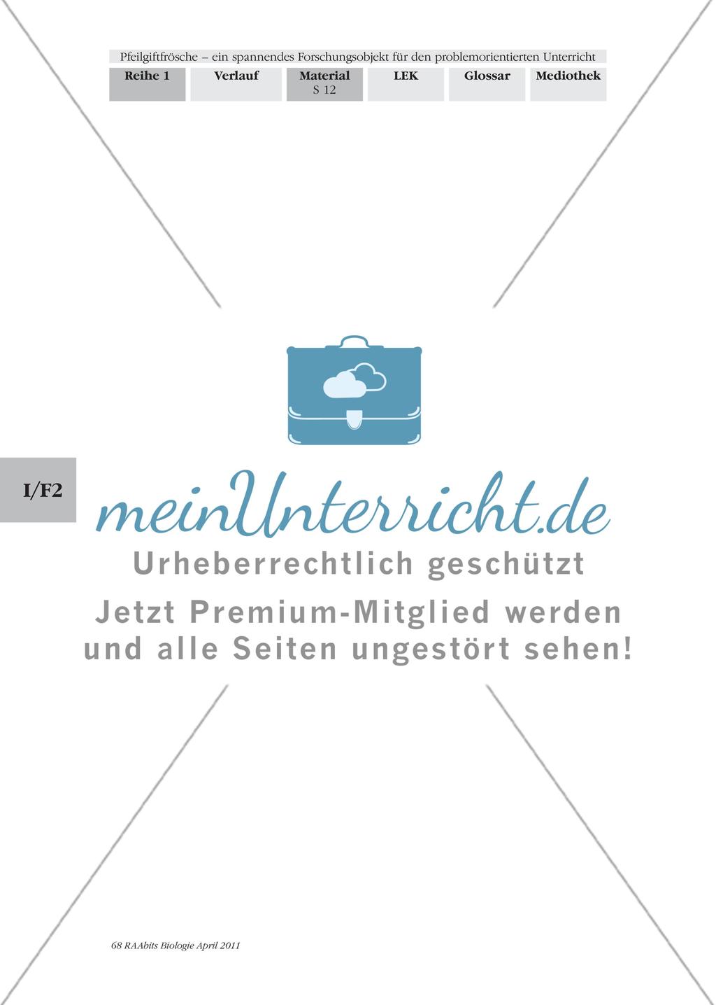 Forschungsauftrag 1 – Merkmale und Eigenschaften von Pfeilgiftfröschen Preview 6