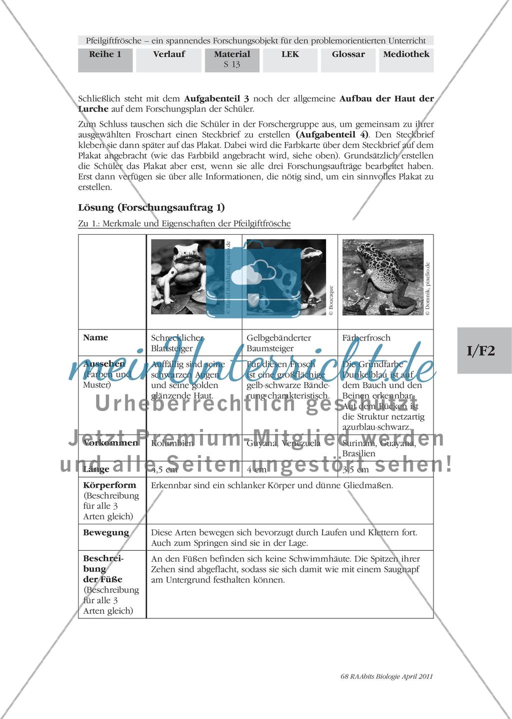 Forschungsauftrag 1 – Merkmale und Eigenschaften von Pfeilgiftfröschen Preview 7