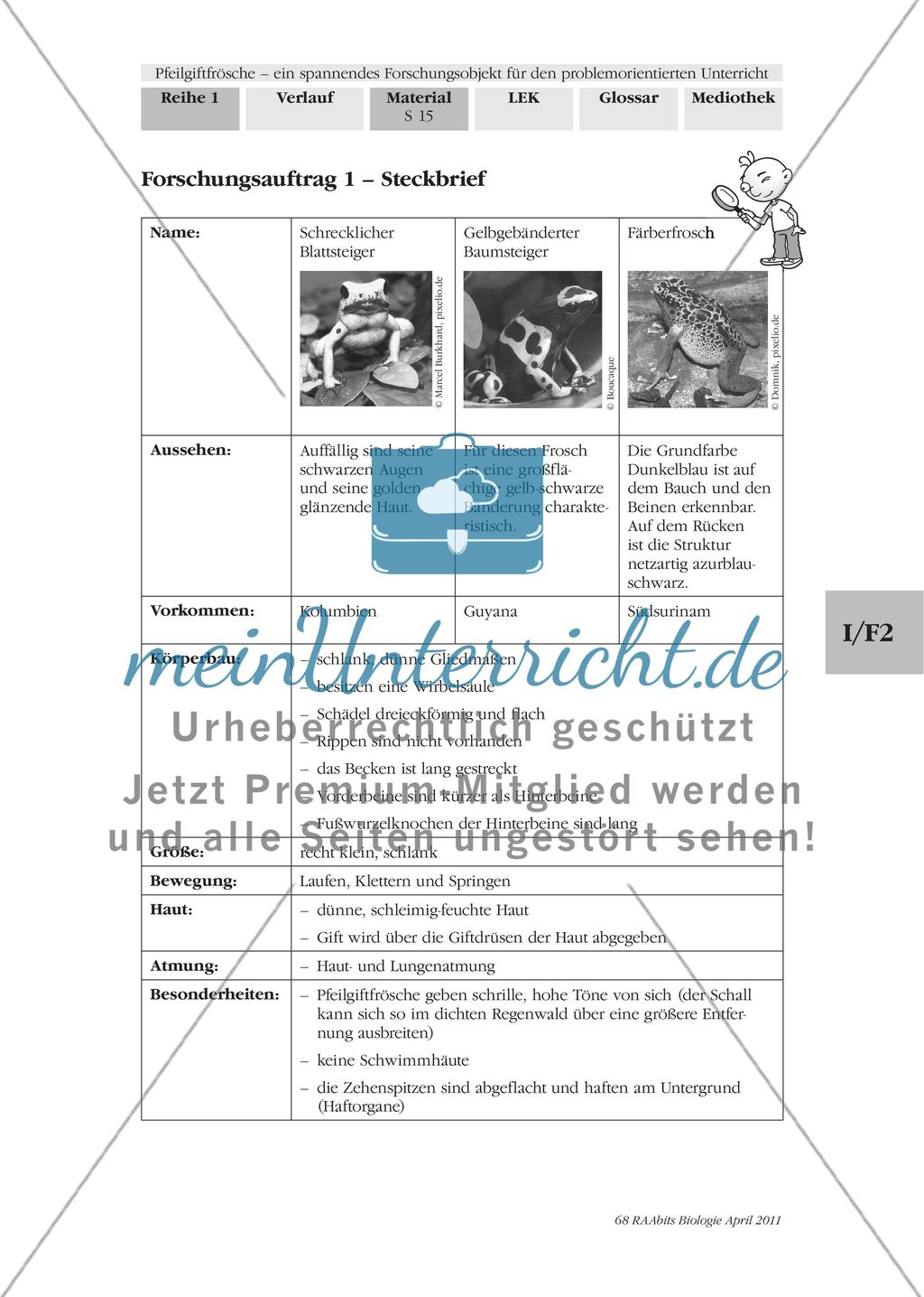 Forschungsauftrag 1 – Merkmale und Eigenschaften von Pfeilgiftfröschen Preview 9