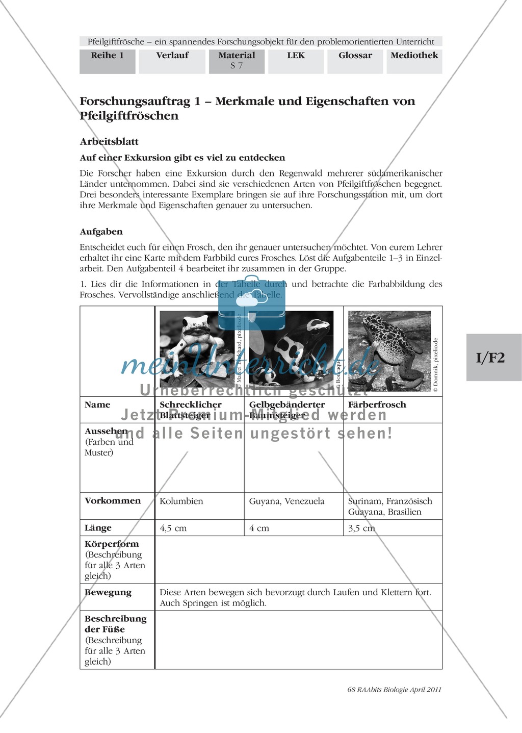 Merkmale und Eigenschaften von Fröschen am Beispiel von Pfeilgiftfröschen: Forschungsauftrag Preview 1