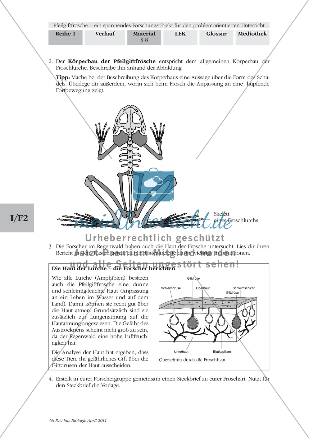 Merkmale und Eigenschaften von Fröschen am Beispiel von Pfeilgiftfröschen: Forschungsauftrag Preview 2
