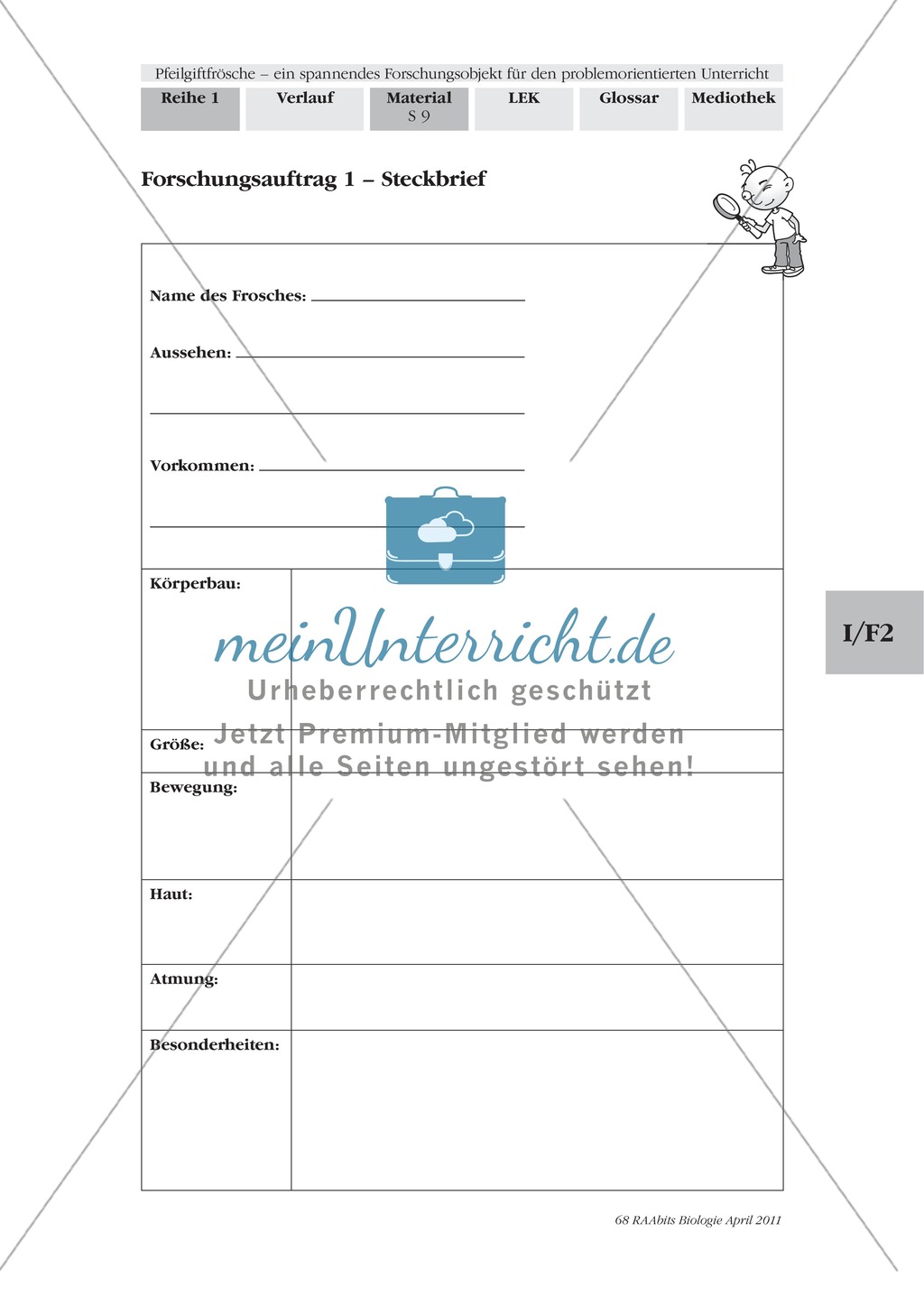Merkmale und Eigenschaften von Fröschen am Beispiel von Pfeilgiftfröschen: Forschungsauftrag Preview 3