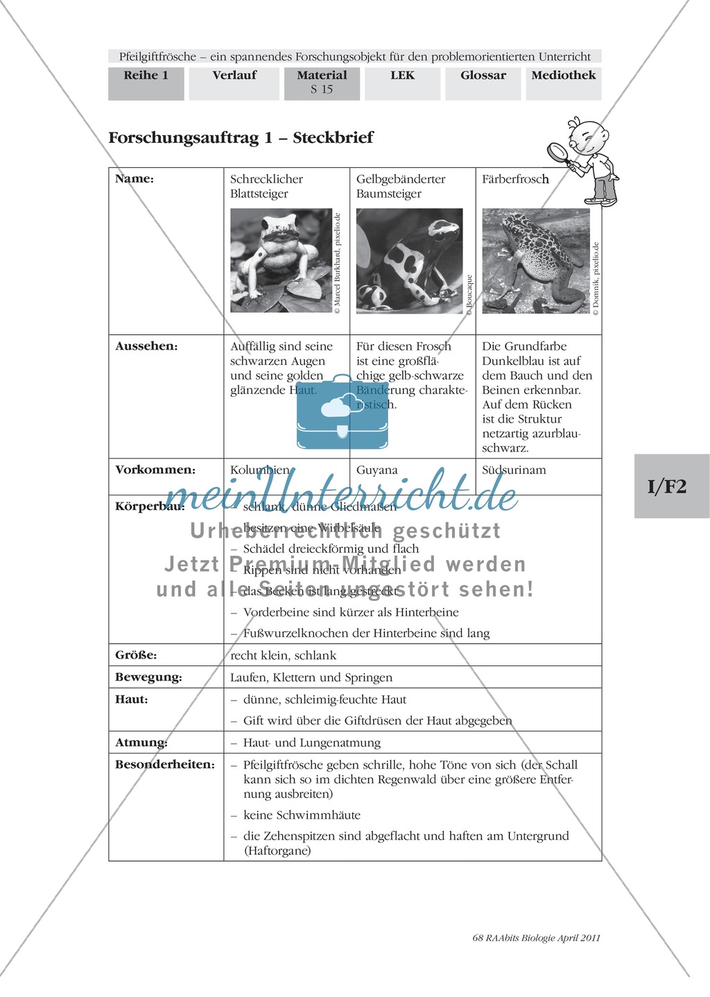 Merkmale und Eigenschaften von Fröschen am Beispiel von Pfeilgiftfröschen: Forschungsauftrag Preview 8