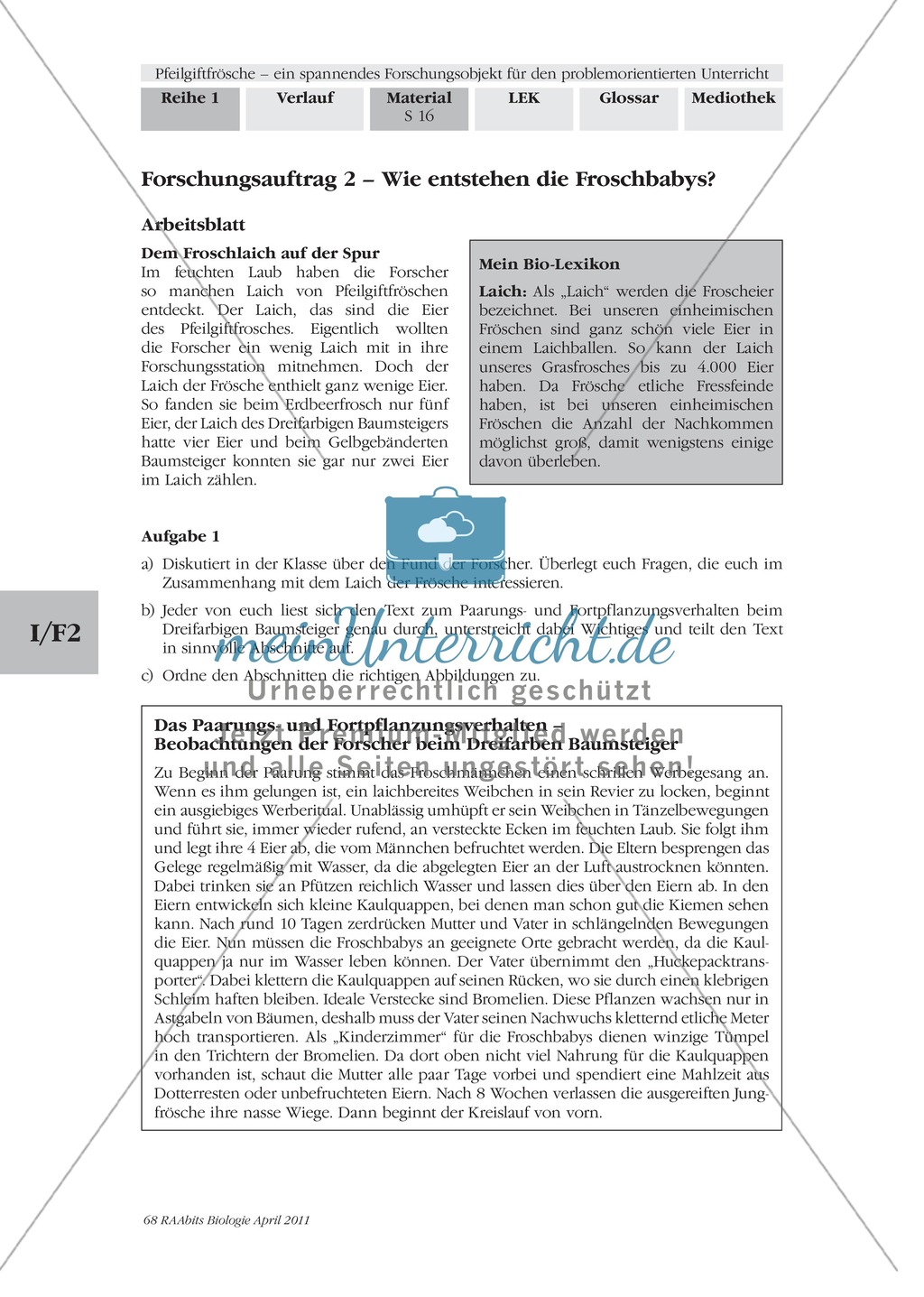 Fortpflanzung von Lurchen am Beispiel von Fröschen: Forschungsauftrag Preview 1