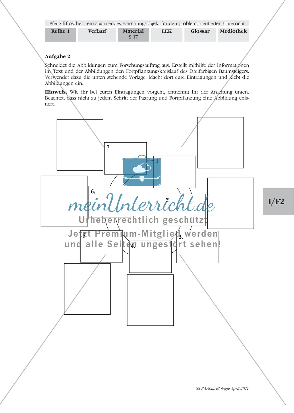 Fortpflanzung von Lurchen am Beispiel von Fröschen: Forschungsauftrag Preview 2