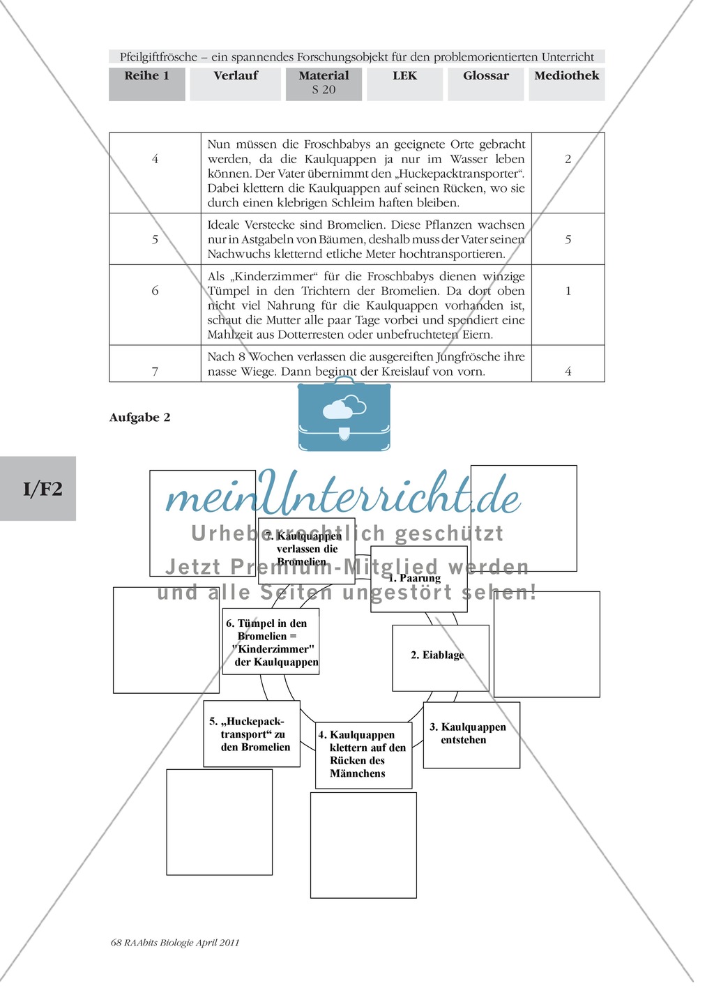Fortpflanzung von Lurchen am Beispiel von Fröschen: Forschungsauftrag Preview 5