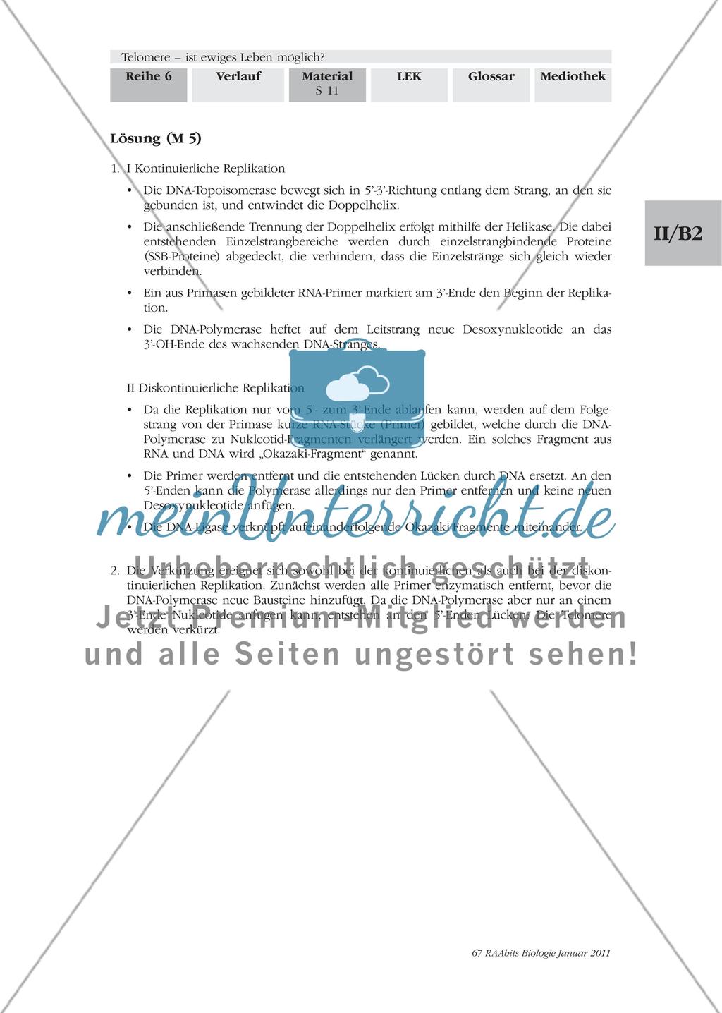 Materialien für den Einstieg und das Gruppenpuzzle Preview 10
