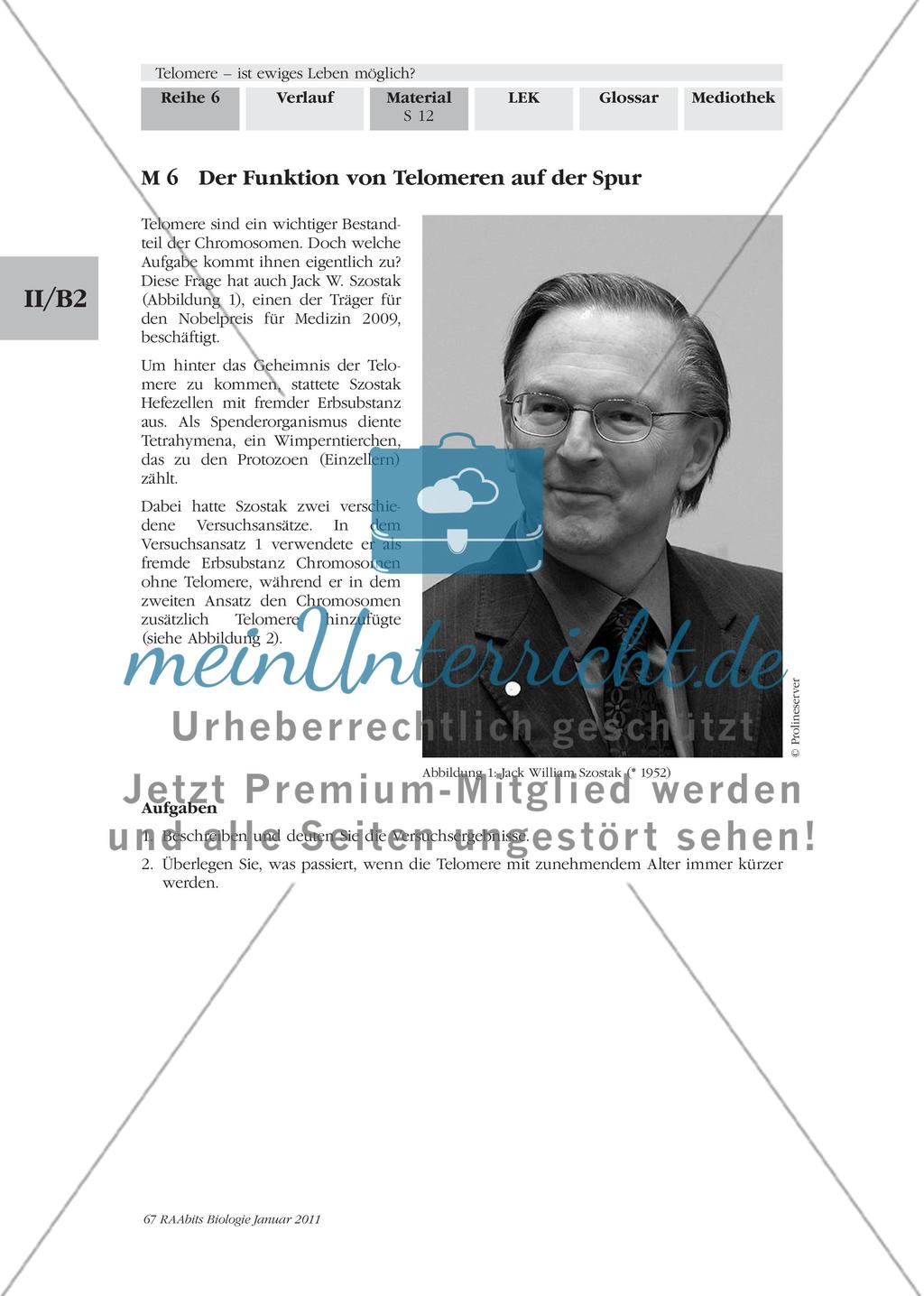 Materialien für den Einstieg und das Gruppenpuzzle Preview 11