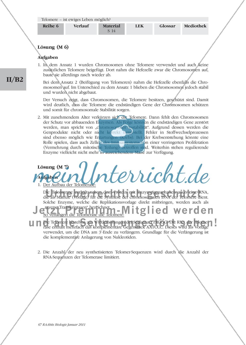 Materialien für den Einstieg und das Gruppenpuzzle Preview 13