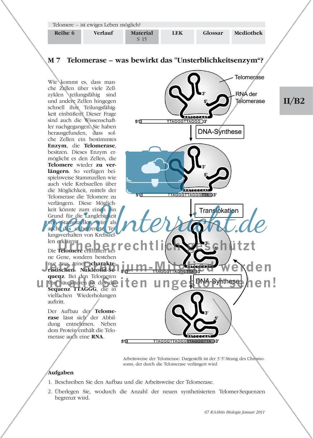 Materialien für den Einstieg und das Gruppenpuzzle Preview 14
