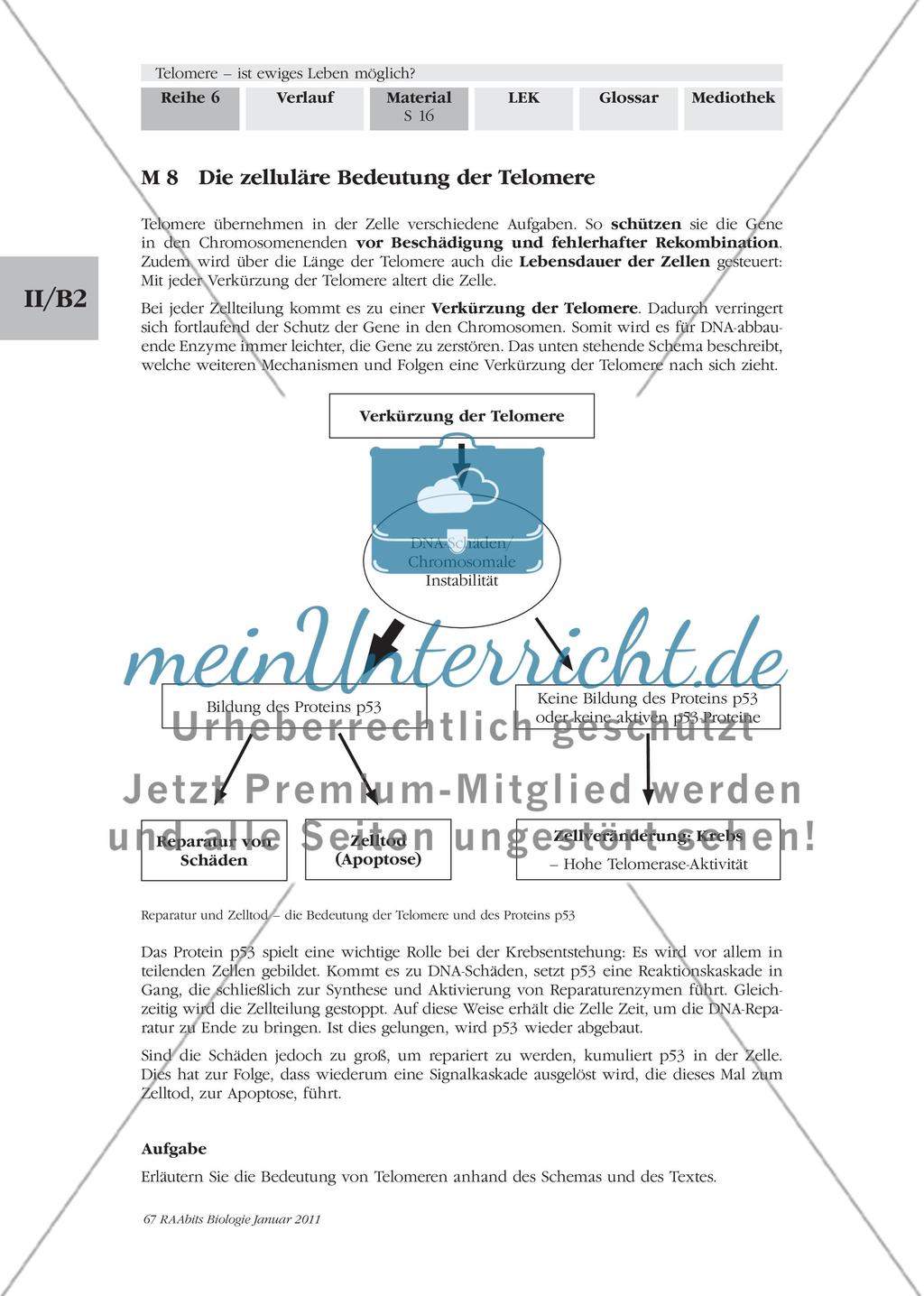 Materialien für den Einstieg und das Gruppenpuzzle Preview 15
