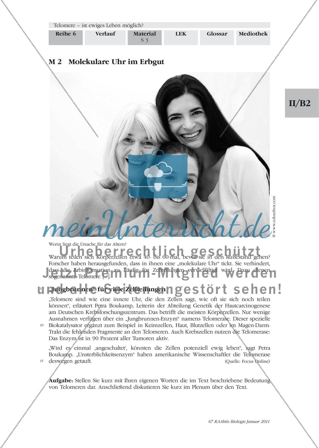 Materialien für den Einstieg und das Gruppenpuzzle Preview 2
