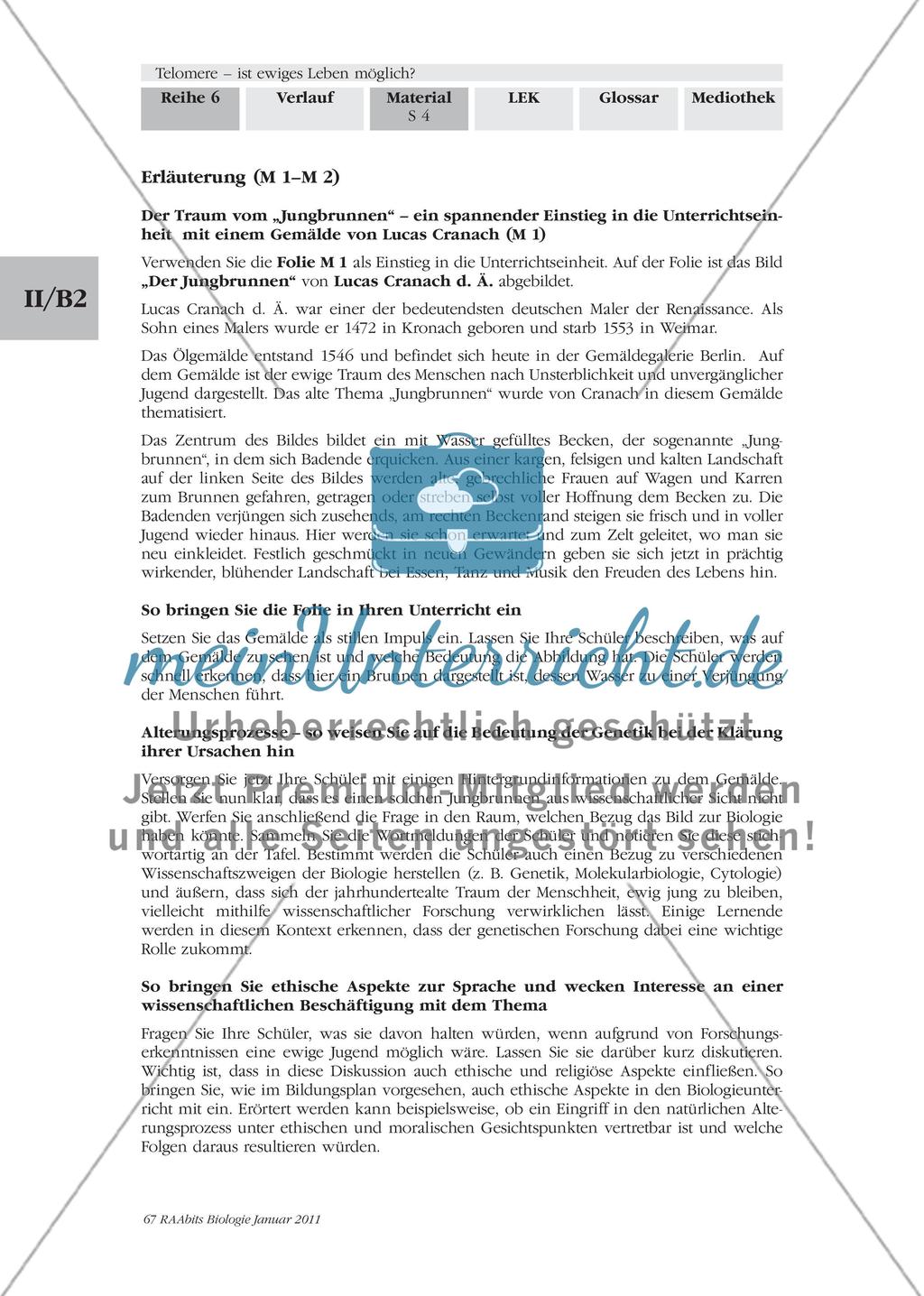 Materialien für den Einstieg und das Gruppenpuzzle Preview 3