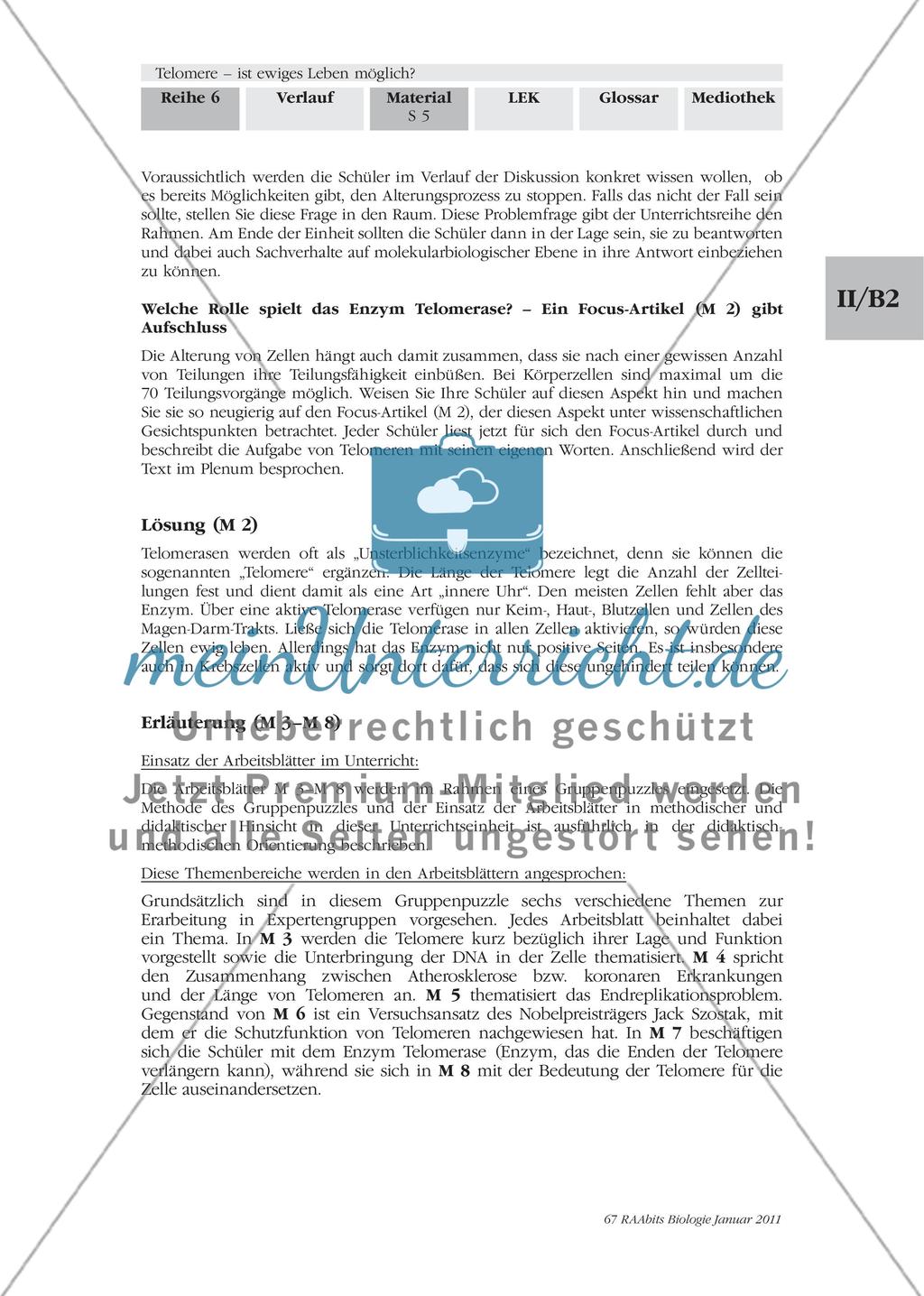 Materialien für den Einstieg und das Gruppenpuzzle Preview 4